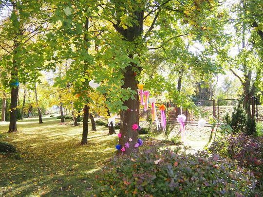 Chełm. Święto Drzewa Zespole Szkół Budowlanych i Geodezyjnych [GALERIA ZDJĘĆ]