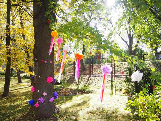 Chełm. Święto Drzewa Zespole Szkół Budowlanych i Geodezyjnych [GALERIA ZDJĘĆ]