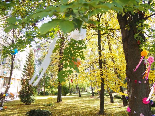 Chełm. Święto Drzewa Zespole Szkół Budowlanych i Geodezyjnych [GALERIA ZDJĘĆ]