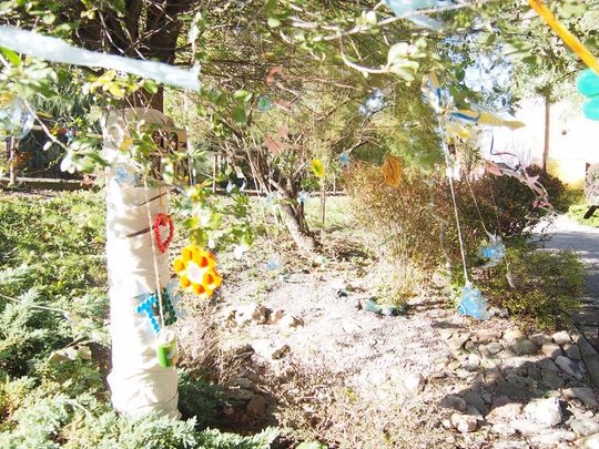 Chełm. Święto Drzewa Zespole Szkół Budowlanych i Geodezyjnych [GALERIA ZDJĘĆ]