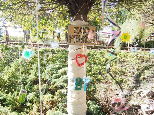 Chełm. Święto Drzewa Zespole Szkół Budowlanych i Geodezyjnych [GALERIA ZDJĘĆ]