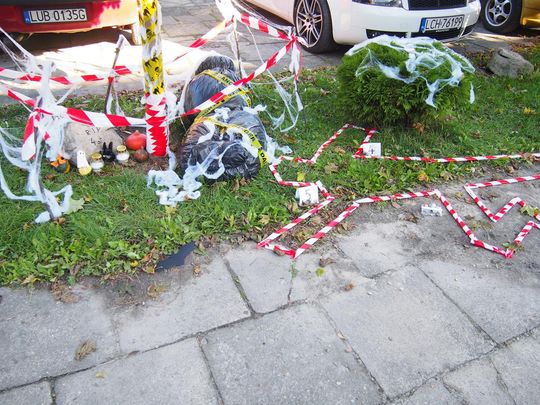 Chełm. Święto Drzewa Zespole Szkół Budowlanych i Geodezyjnych [GALERIA ZDJĘĆ]