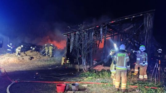 Pow. krasnostawski. Nocny pożar obory w Tarnogórze. Ktoś zaprószył ogień? [GALERIA ZDJĘĆ]