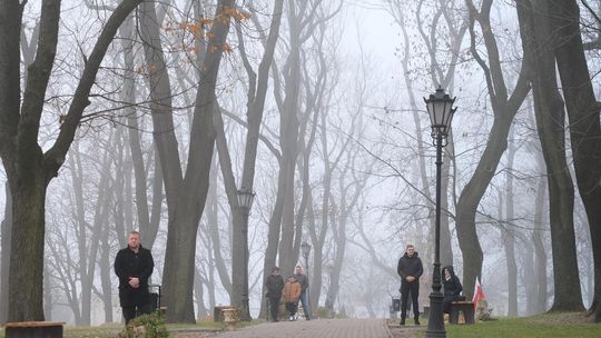 Chełm. Uroczystość z okazji Święta Niepodległości 2024. Msza św. w chełmskiej bazylice [GALERIA ZDJĘĆ]