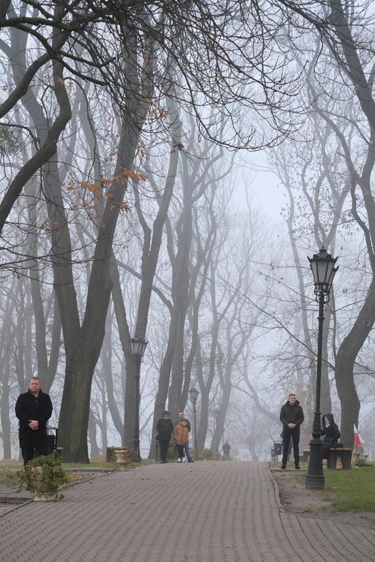 Chełm. Uroczystość z okazji Święta Niepodległości 2024. Msza św. w chełmskiej bazylice [GALERIA ZDJĘĆ]
