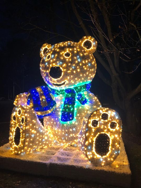 Chełm. W mieście pojawia się coraz więcej świątecznych dekoracji [GALERIA ZDJĘĆ]