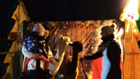 Gm. Siedliszcze. Jarmark świąteczny w Kuliku wieczorową porą... [GALERIA ZDJĘĆ]