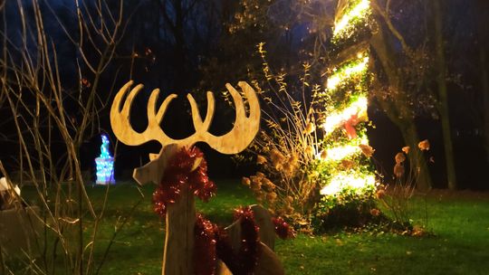 Gm. Siedliszcze. Jarmark świąteczny w Kuliku wieczorową porą... [GALERIA ZDJĘĆ]