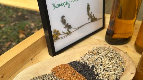 Gm. Siedliszcze. Świąteczny jarmark w Dworze Kulik. Masa ozdób i słodkości! [GALERIA ZDJĘĆ]