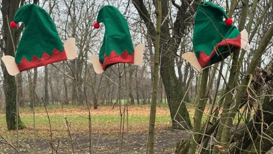 Gm. Siedliszcze. Świąteczny jarmark w Dworze Kulik. Masa ozdób i słodkości! [GALERIA ZDJĘĆ]