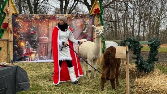 Gm. Siedliszcze. Świąteczny jarmark w Dworze Kulik. Masa ozdób i słodkości! [GALERIA ZDJĘĆ]