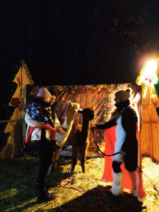 Gm. Siedliszcze. Jarmark świąteczny w Kuliku wieczorową porą... [GALERIA ZDJĘĆ]