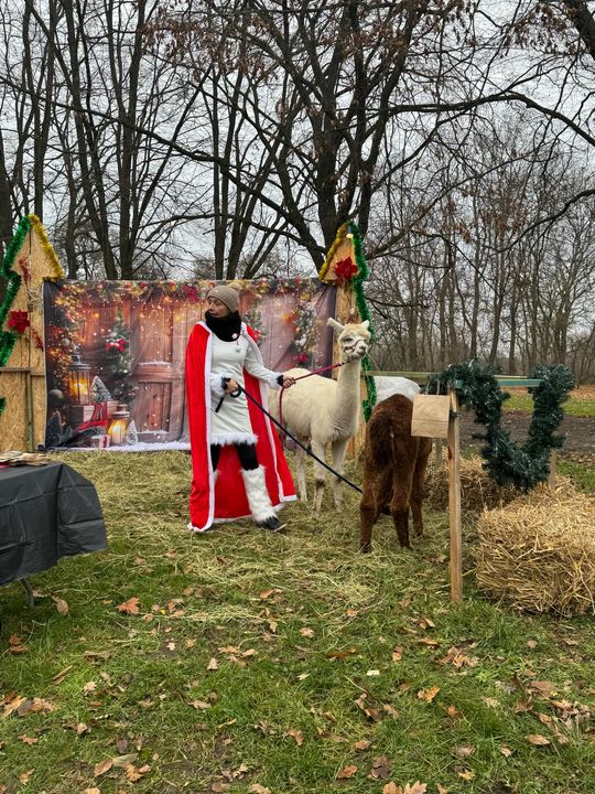 Gm. Siedliszcze. Świąteczny jarmark w Dworze Kulik. Masa ozdób i słodkości! [GALERIA ZDJĘĆ]