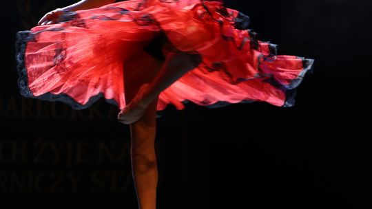 Chełm. Dzień Górnika. Barbórka Cemex 2024 [GALERIA ZDJĘĆ]