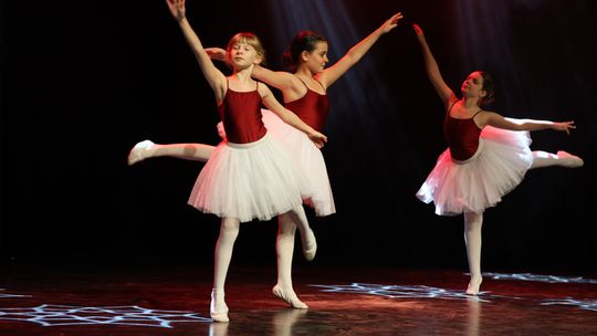 Chełm. Dzień Górnika. Barbórka Cemex 2024 [GALERIA ZDJĘĆ]