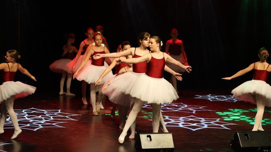 Chełm. Dzień Górnika. Barbórka Cemex 2024 [GALERIA ZDJĘĆ]