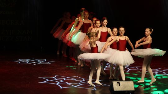 Chełm. Dzień Górnika. Barbórka Cemex 2024 [GALERIA ZDJĘĆ]