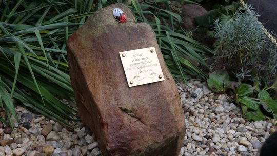 Drugi dzień obchodów jubileusz 60-lecia Zespołu Szkół Gastronomicznych i Hotelarskich w Chełmie [GALERIA ZDJĘĆ]