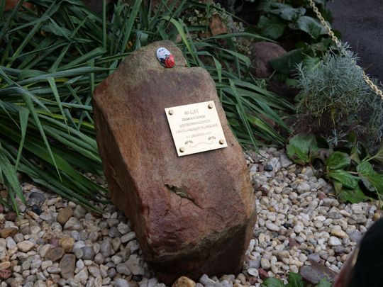 Drugi dzień obchodów jubileusz 60-lecia Zespołu Szkół Gastronomicznych i Hotelarskich w Chełmie [GALERIA ZDJĘĆ]