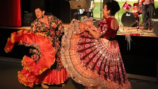 II Powiatowy Przegląd Zespołów Artystycznych w Hańsku [GALERIA ZDJĘĆ]