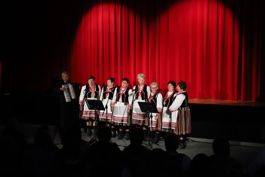 II Powiatowy Przegląd Zespołów Artystycznych w Hańsku [GALERIA ZDJĘĆ]