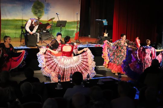 II Powiatowy Przegląd Zespołów Artystycznych w Hańsku [GALERIA ZDJĘĆ]