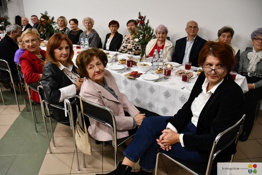 Podsumowanie VIII Senioriady Krasnostawskiej [GALERIA ZDJĘĆ]