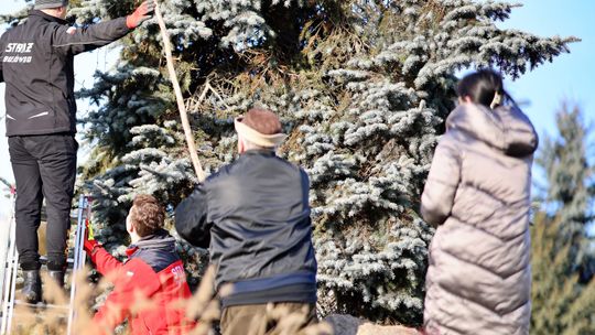 Gm. Wierzbica. Wspólne ubieranie choinki [GALERIA ZDJĘĆ]