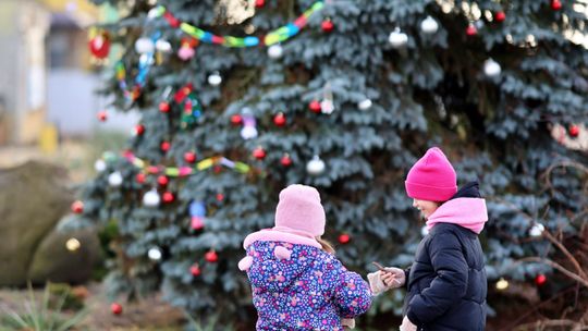 Gm. Wierzbica. Wspólne ubieranie choinki [GALERIA ZDJĘĆ]