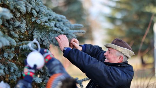 Gm. Wierzbica. Wspólne ubieranie choinki [GALERIA ZDJĘĆ]