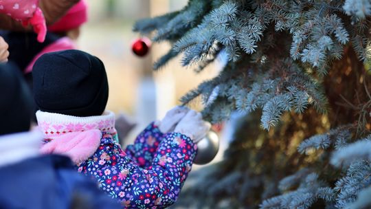 Gm. Wierzbica. Wspólne ubieranie choinki [GALERIA ZDJĘĆ]