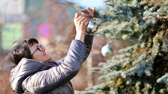 Gm. Wierzbica. Wspólne ubieranie choinki [GALERIA ZDJĘĆ]