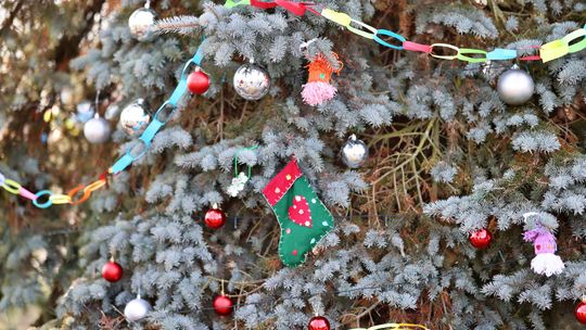 Gm. Wierzbica. Wspólne ubieranie choinki [GALERIA ZDJĘĆ]