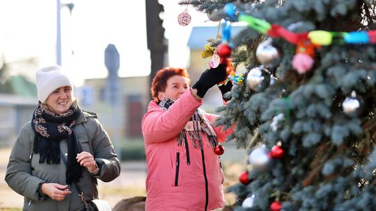 Gm. Wierzbica. Wspólne ubieranie choinki [GALERIA ZDJĘĆ]
