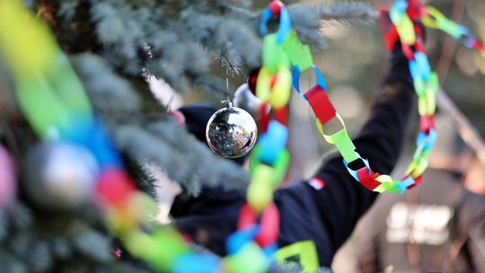 Gm. Wierzbica. Wspólne ubieranie choinki [GALERIA ZDJĘĆ]