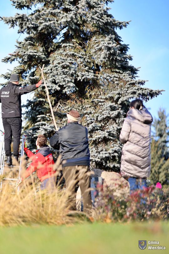 Gm. Wierzbica. Wspólne ubieranie choinki [GALERIA ZDJĘĆ]