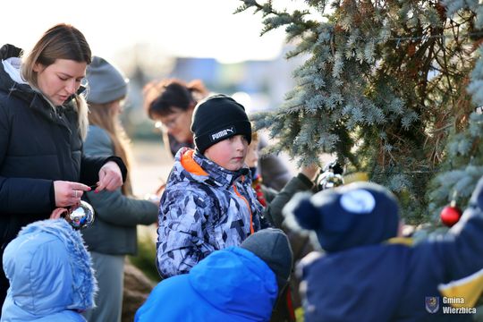 Gm. Wierzbica. Wspólne ubieranie choinki [GALERIA ZDJĘĆ]