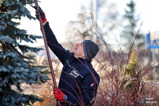 Gm. Wierzbica. Wspólne ubieranie choinki [GALERIA ZDJĘĆ]