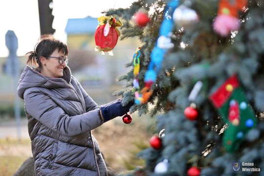Gm. Wierzbica. Wspólne ubieranie choinki [GALERIA ZDJĘĆ]