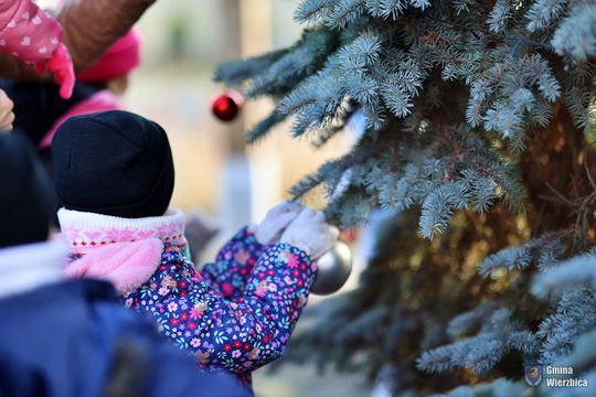 Gm. Wierzbica. Wspólne ubieranie choinki [GALERIA ZDJĘĆ]