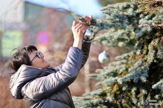 Gm. Wierzbica. Wspólne ubieranie choinki [GALERIA ZDJĘĆ]
