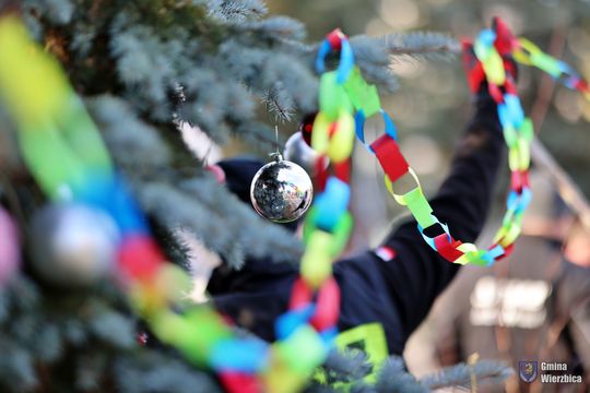 Gm. Wierzbica. Wspólne ubieranie choinki [GALERIA ZDJĘĆ]
