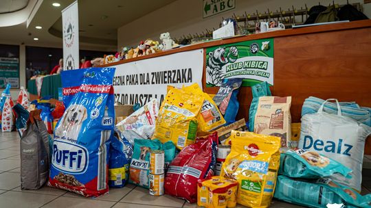 CHKS Chełm vs STS Olimpiia Sulęcin [GALERIA ZDJĘĆ]