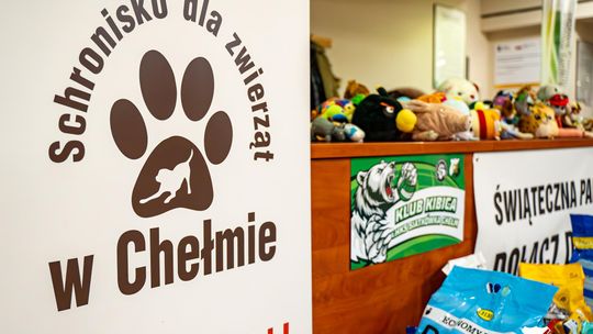 CHKS Chełm vs STS Olimpiia Sulęcin [GALERIA ZDJĘĆ]