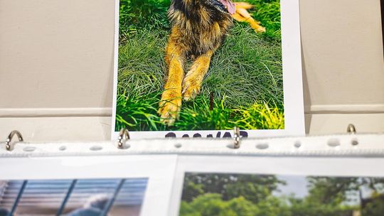 CHKS Chełm vs STS Olimpiia Sulęcin [GALERIA ZDJĘĆ]