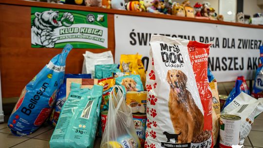 CHKS Chełm vs STS Olimpiia Sulęcin [GALERIA ZDJĘĆ]