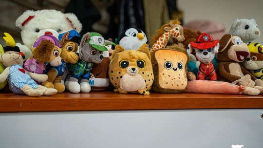 CHKS Chełm vs STS Olimpiia Sulęcin [GALERIA ZDJĘĆ]