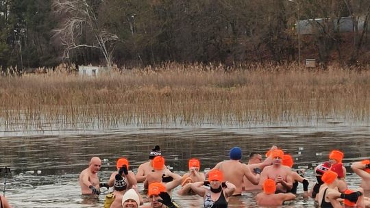 Kolejne udane morsowanie. Krasnostawskie Karpie pływały w Zalewie Tuligłowy [GALERIA ZDJĘĆ]