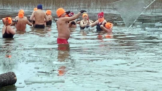 Kolejne udane morsowanie. Krasnostawskie Karpie pływały w Zalewie Tuligłowy [GALERIA ZDJĘĆ]