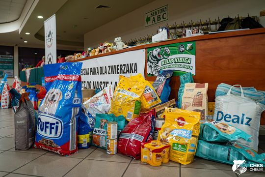 CHKS Chełm vs STS Olimpiia Sulęcin [GALERIA ZDJĘĆ]